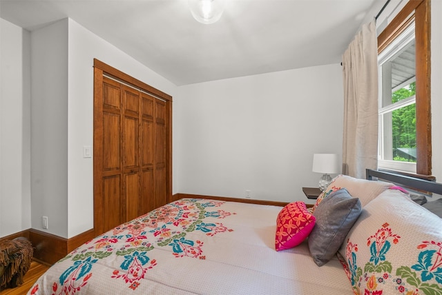858 N Branch Hortonville Rd, North Branch, NY 12745 - bedroom with a closet and baseboards