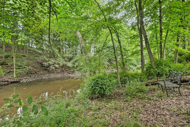 1056 Beekman Rd, Hopewell Junction, NY 12533 - photo 27