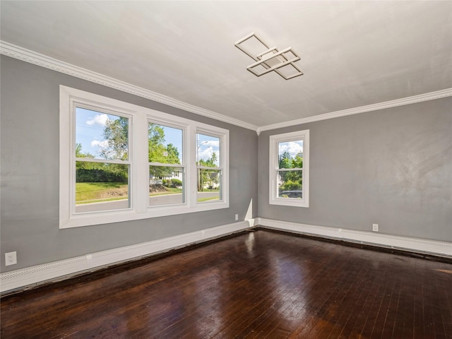 34 Woodland Ave, Poughkeepsie, NY 12603 - empty room featuring crown molding and hardwood / wood-style flooring