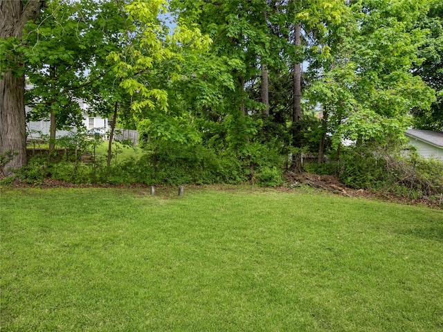 34 Woodland Ave, Poughkeepsie, NY 12603 - view of green lawn