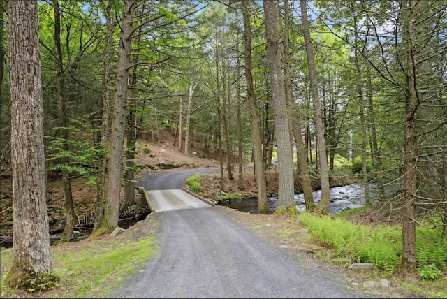 367 Black Forest Rd, Glen Spey, NY 12737 - photo 2