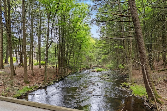 367 Black Forest Rd, Glen Spey, NY 12737 - photo 4