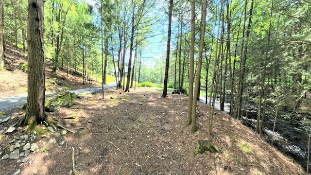 367 Black Forest Rd, Glen Spey, NY 12737 - photo 5