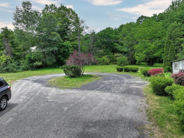 1753 State Route 209, Westbrookville, NY 12790 - photo 46