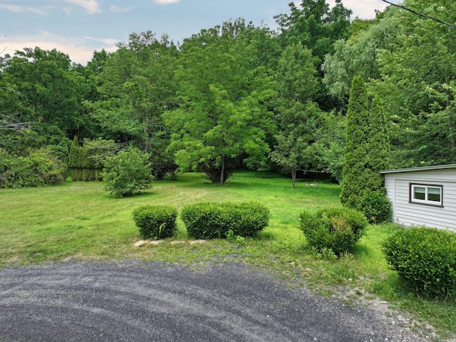 1753 State Route 209, Westbrookville, NY 12790 - photo 49