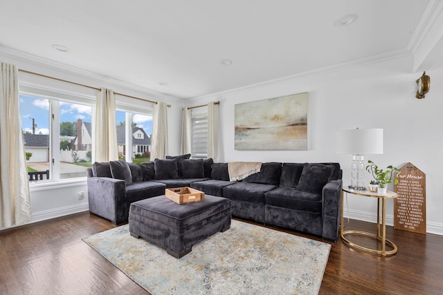 1696 Coral Rd, East Meadow, NY 11554 - living area with ornamental molding, dark wood-style flooring, and baseboards
