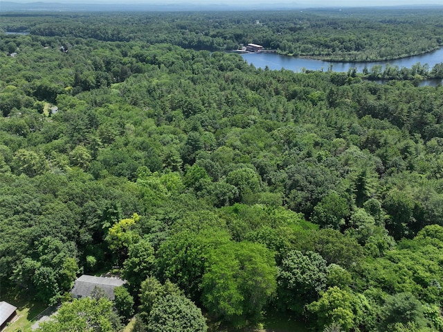 L56 River St, Kattskill Bay, NY 12804 - photo 5