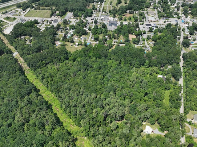 L56 River St, Kattskill Bay, NY 12804 - photo 11
