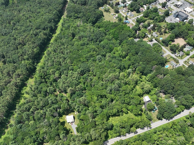 L56 River St, Kattskill Bay, NY 12804 - photo 16