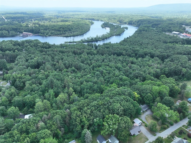L56 River St, Kattskill Bay, NY 12804 - photo 42