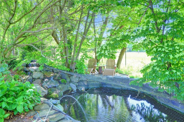 12 Bridle Path Ln, Port Jefferson, NY 11777 - view of pool