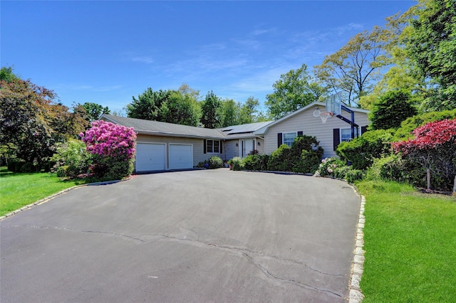 12 Bridle Path Ln, Port Jefferson, NY 11777 - ranch-style house with a garage, asphalt driveway, solar panels, and a front yard