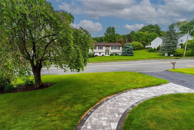 57 Decker Dr, Washingtonville, NY 10992 - view of grassy yard