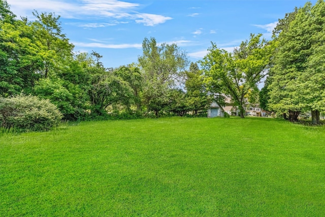 61 Spackenkill Rd, Poughkeepsie, NY 12603 - view of yard