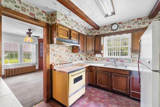 61 Spackenkill Rd, Poughkeepsie, NY 12603 - kitchen featuring radiator heating unit, white appliances, a sink, under cabinet range hood, and plenty of natural light