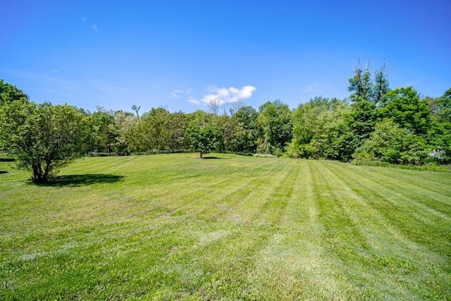 322 Noxon Rd, Poughkeepsie, NY 12603 - view of green lawn