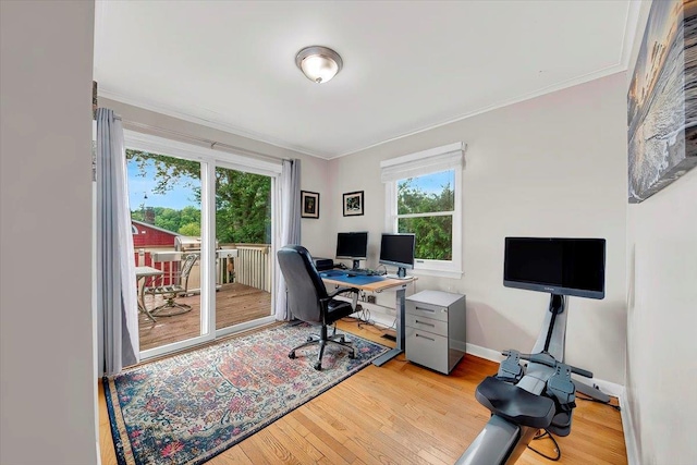 22 Livingston Ave, Valhalla, NY 10595 - office space with crown molding, light wood-style flooring, and baseboards