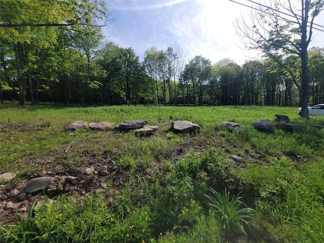 Tanzman, Parksville, NY 12754 - photo 1