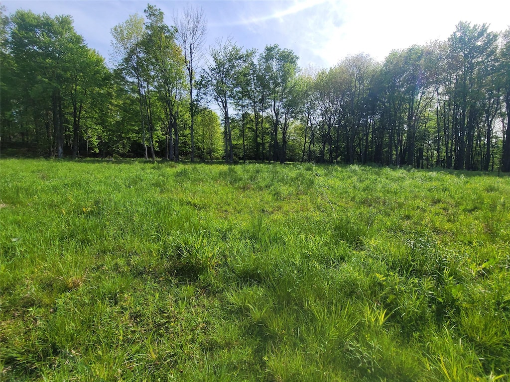 Tanzman, Parksville, NY 12754 - photo 2