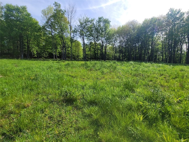Tanzman, Parksville, NY 12754 - photo 2