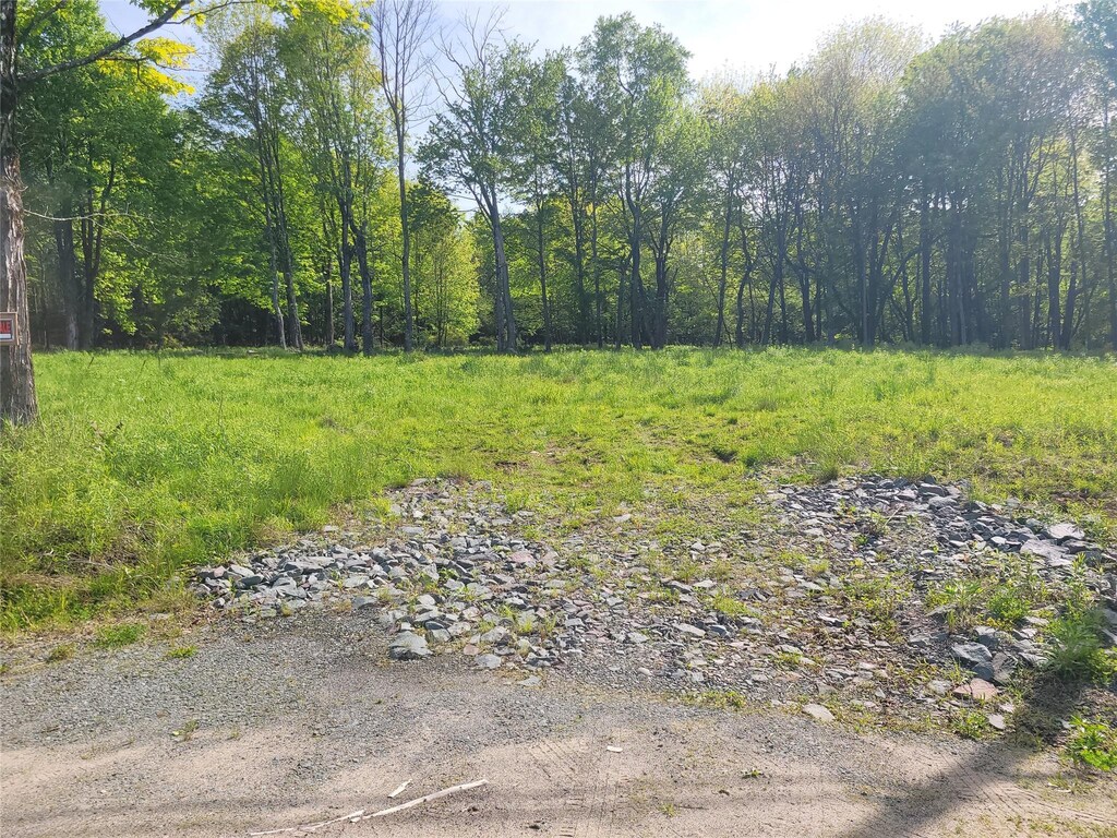 Tanzman, Parksville, NY 12754 - photo 3