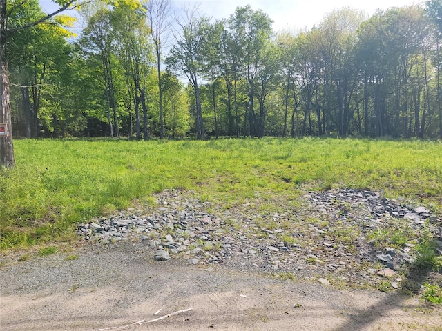 Tanzman, Parksville, NY 12754 - photo 3