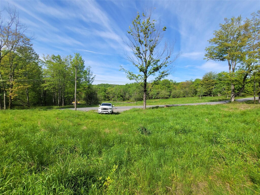 Tanzman, Parksville, NY 12754 - photo 4