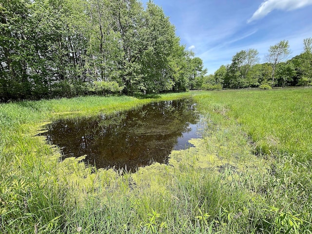 Menges Rd, Youngsville, NY 12791 - photo 4