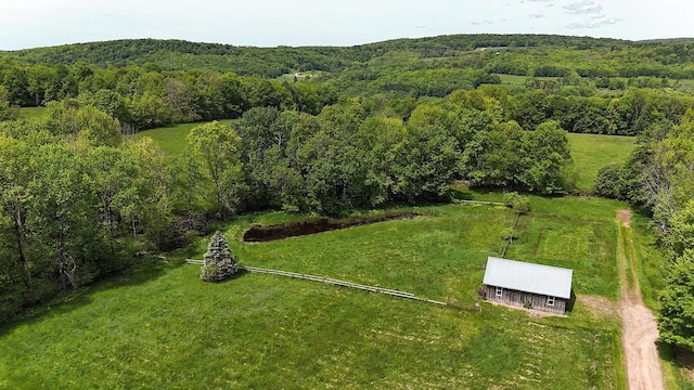 Menges Rd, Youngsville, NY 12791 - photo 10