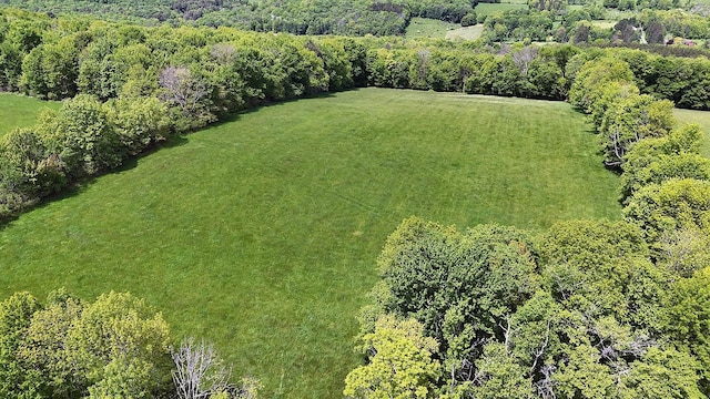 Menges Rd, Youngsville, NY 12791 - photo 11