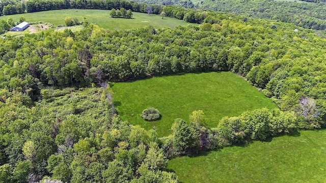 Menges Rd, Youngsville, NY 12791 - photo 13
