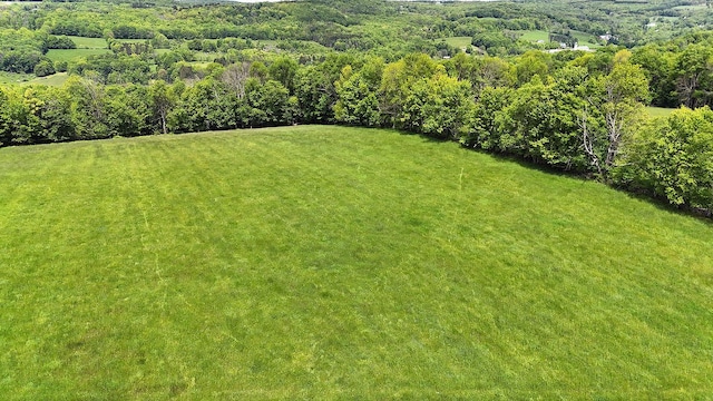 Menges Rd, Youngsville, NY 12791 - photo 15