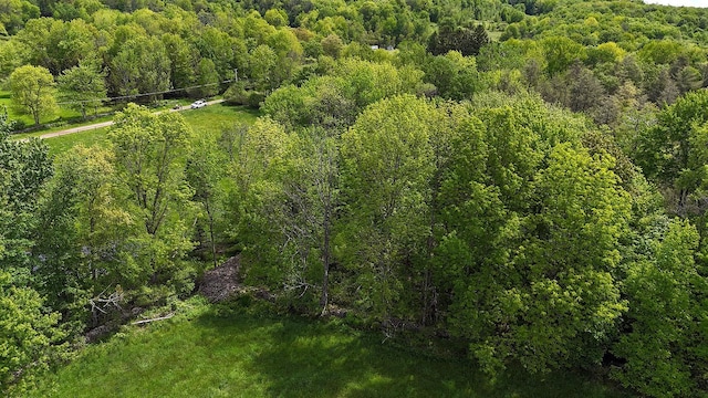 Menges Rd, Youngsville, NY 12791 - photo 16