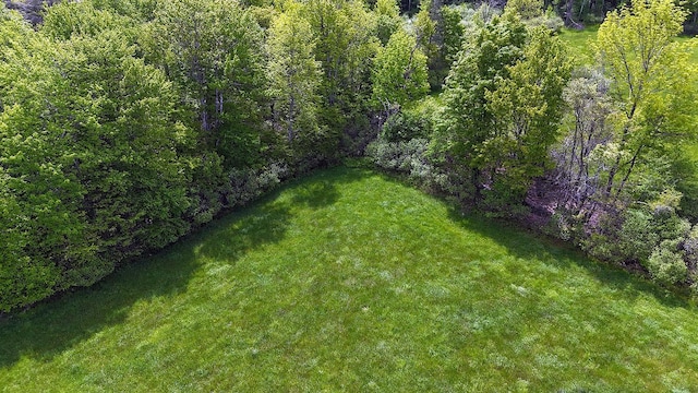 Menges Rd, Youngsville, NY 12791 - photo 17