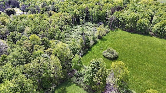 Menges Rd, Youngsville, NY 12791 - photo 18