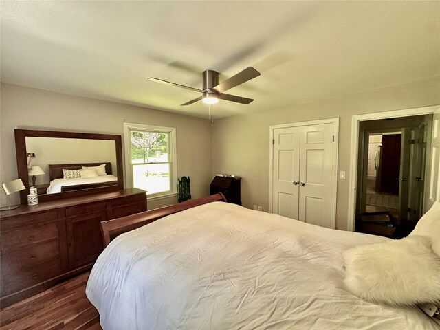 287 Hunns Lake Rd, Stanfordville, NY 12581 - bedroom featuring dark wood-type flooring, a ceiling fan, and a closet