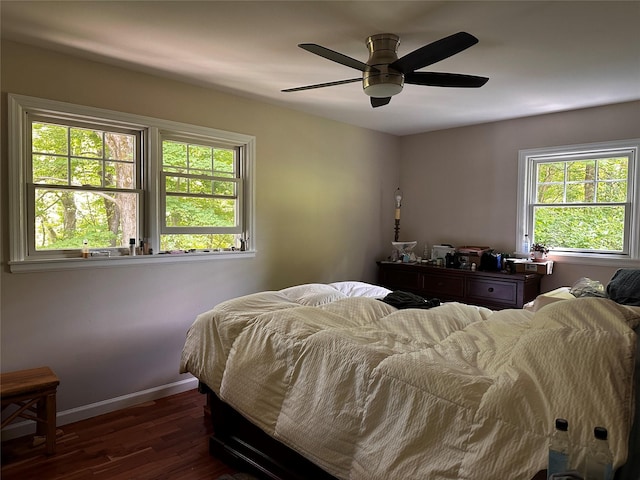 287 Hunns Lake Rd, Stanfordville, NY 12581 - bedroom featuring dark wood-style floors, multiple windows, baseboards, and a ceiling fan