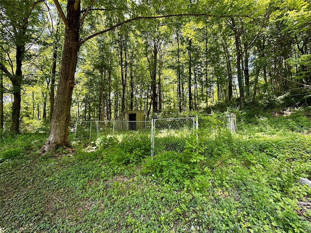 287 Hunns Lake Rd, Stanfordville, NY 12581 - view of woods