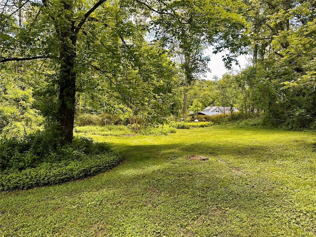 287 Hunns Lake Rd, Stanfordville, NY 12581 - view of green lawn with a wooded view