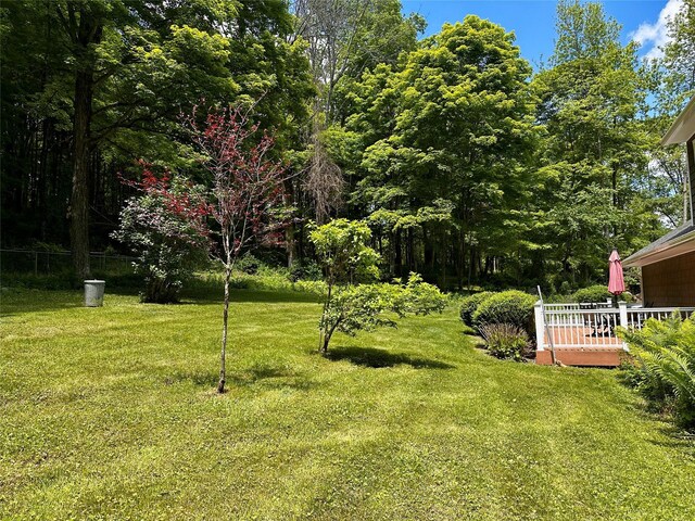 287 Hunns Lake Rd, Stanfordville, NY 12581 - view of grassy yard with a wooden deck