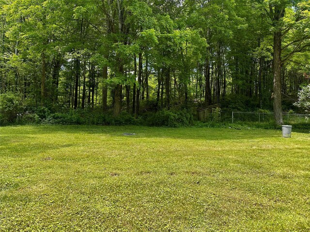 287 Hunns Lake Rd, Stanfordville, NY 12581 - view of yard