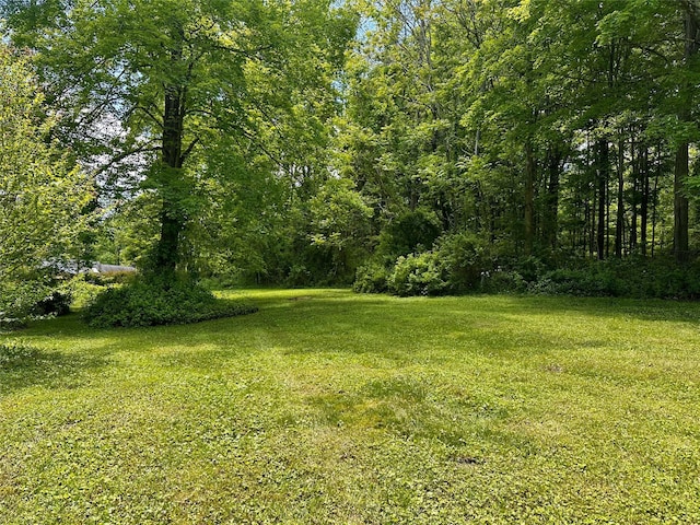 287 Hunns Lake Rd, Stanfordville, NY 12581 - view of green lawn