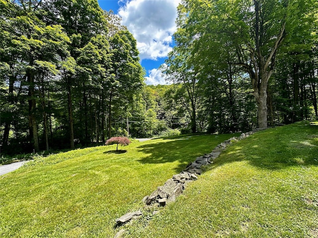287 Hunns Lake Rd, Stanfordville, NY 12581 - view of green lawn
