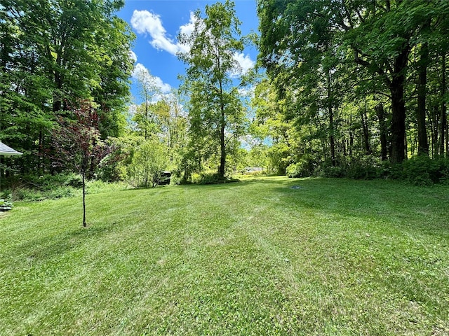 287 Hunns Lake Rd, Stanfordville, NY 12581 - view of grassy yard