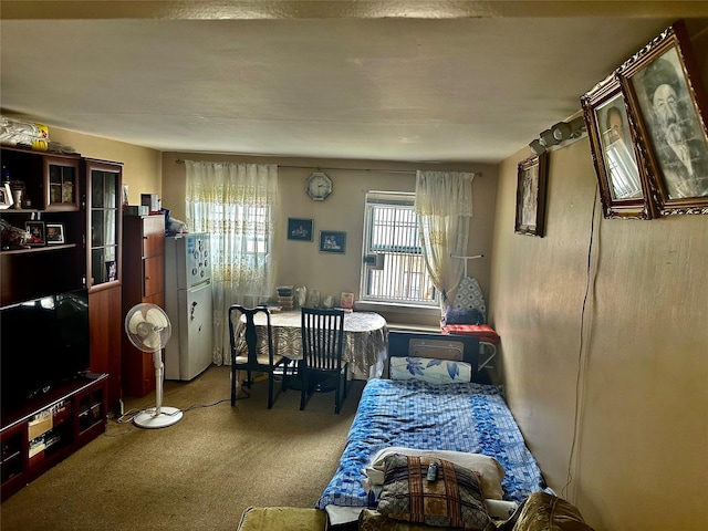147-11 79th Ave Unit 3L, Flushing, NY 11367 - bedroom featuring multiple windows, carpet, and freestanding refrigerator