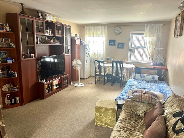 147-11 79th Ave Unit 3L, Flushing, NY 11367 - living room featuring carpet