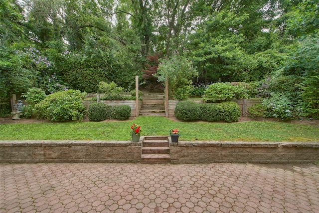 36 Bellefair Rd, Rye Brook, NY 10573 - view of yard featuring a patio area