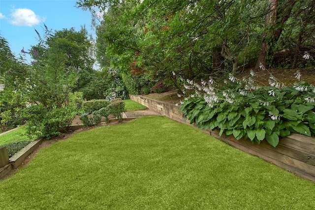 36 Bellefair Rd, Rye Brook, NY 10573 - view of grassy yard