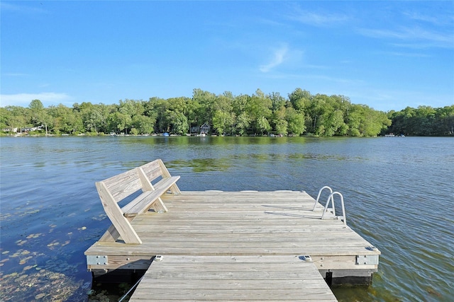 1 Lakeview Rd, South Salem, NY 10590 - dock with a water view