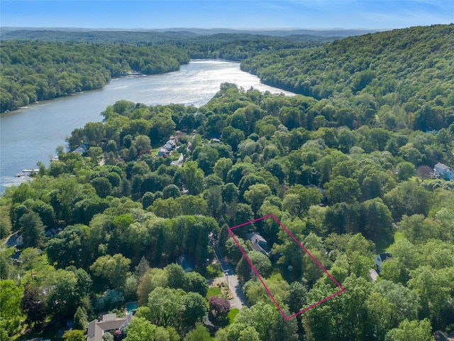 1 Lakeview Rd, South Salem, NY 10590 - view of property location featuring a forest, a large body of water, and property parcel outlined